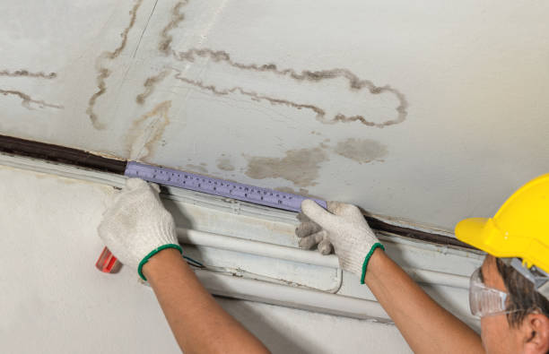 Reliable Structural Drying contractor in Cranford, NJ by Water Damage Irwin